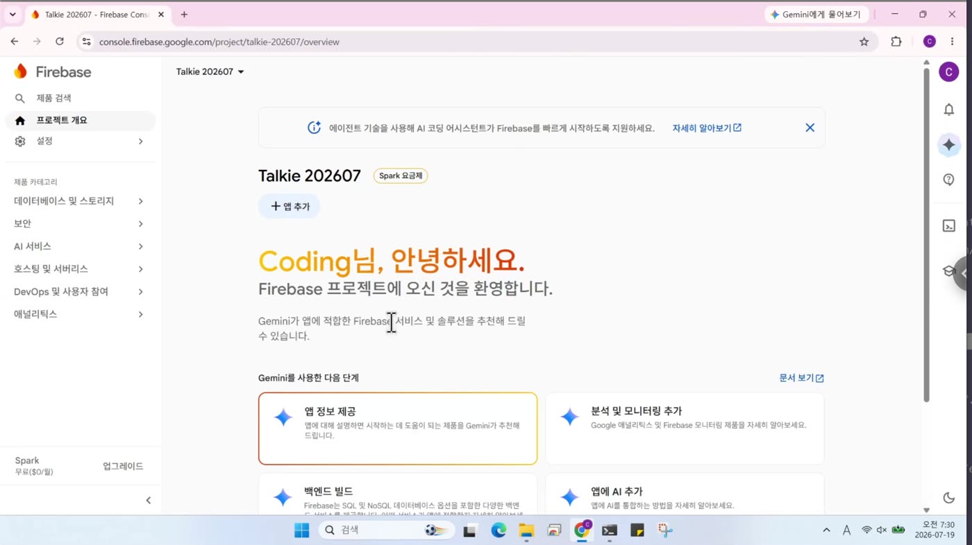 생성된 Firebase 프로젝트 개요